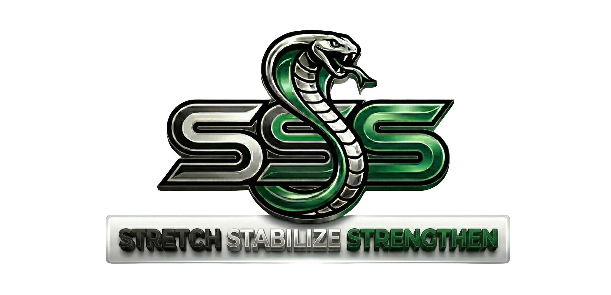 SSS logo